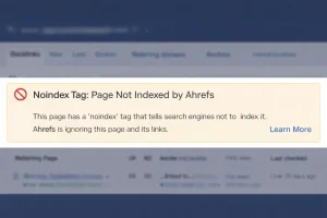The “Noindex” Tag