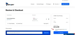 Accepting Terms and Proceeding to Checkout