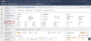 Analyse the Backlink Profile