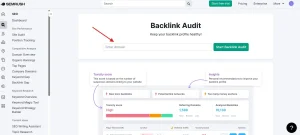 Enter the Domain for Audit Setup