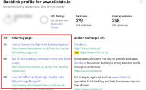 Review Referring Domains