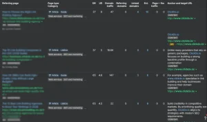 Ahrefs Site Explorer backlink report 