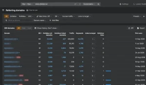 Backlink verification report